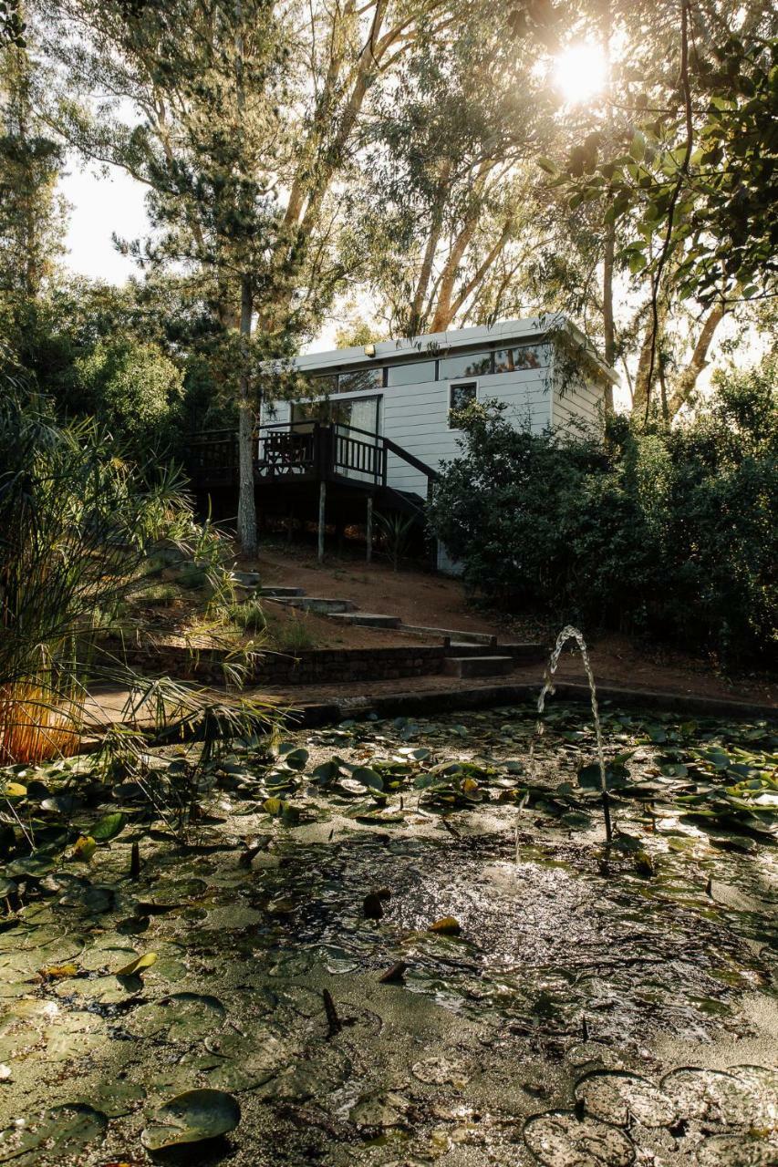 L'Auberge Country Hideaway Port Elizabeth Exterior photo