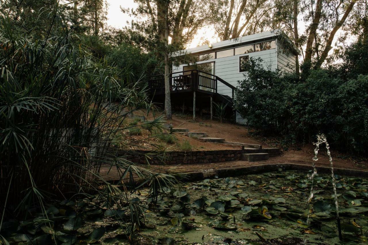 L'Auberge Country Hideaway Port Elizabeth Exterior photo